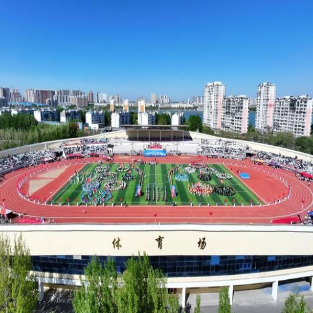 乒乓世界杯赛程最新发布精彩纷呈